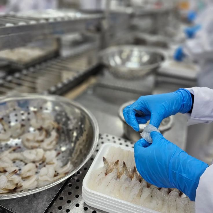 Shrimp processing at Dundi Marine