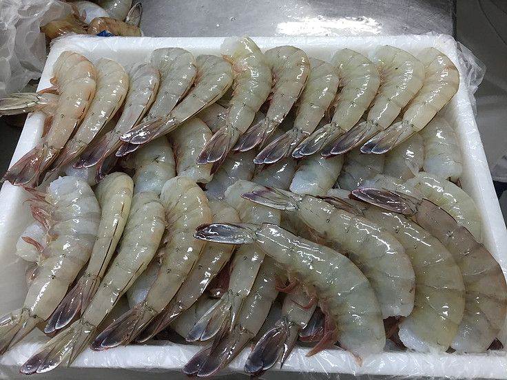 Vannamei Shrimp